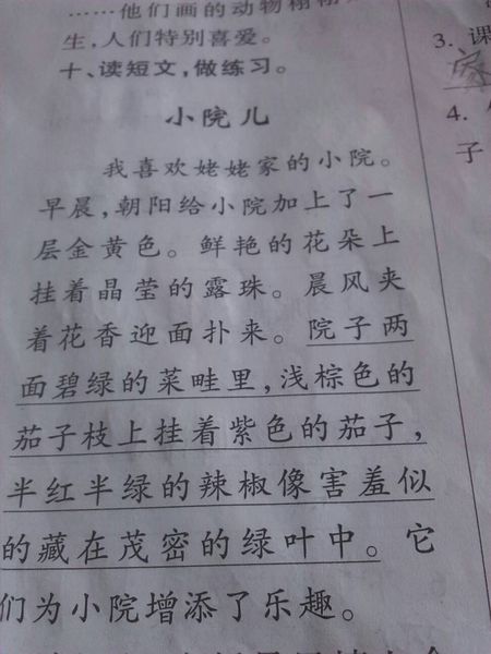 描述蔬菜的比喻句子