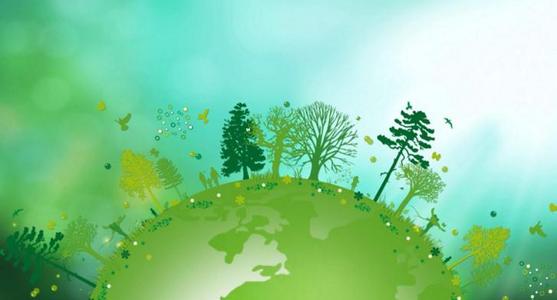 关于保护森林的谚语