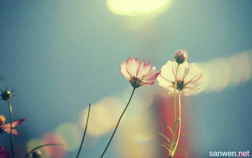 在初秋的早晨谈论情绪短语