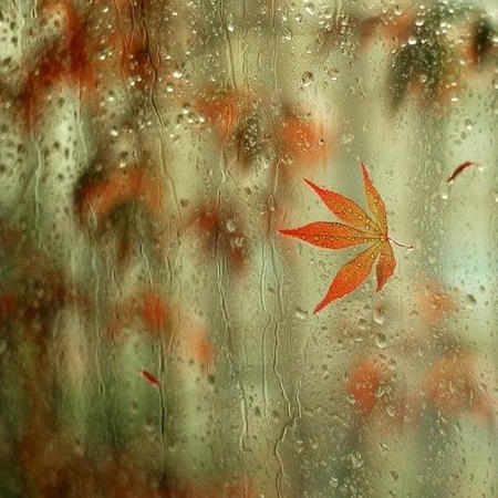 只有当我们尽自己最大的努力时，生活才会给人以惊喜1