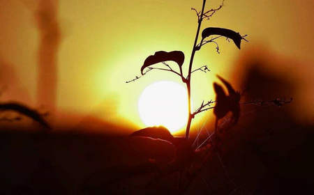 只有看到世界的谦卑与美丽，您才能体会到生活的真meaning 1