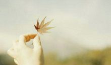 生活需要平淡，更需要波澜壮阔才有意义