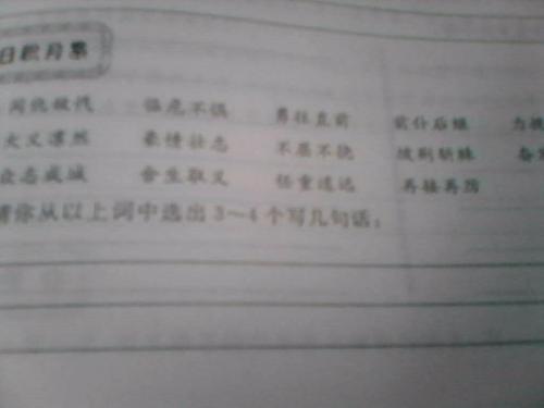 虽然但是一整套完整的单词和句子