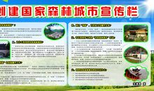 学校创森宣传标语