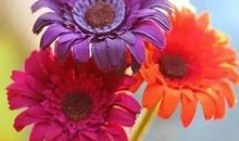 早安发朋友圈说说