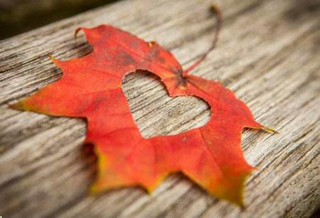 2017人生感悟句子，人生感悟2017最新句子