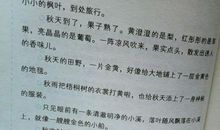 有关对不起的句子