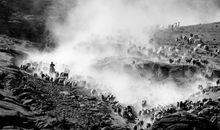 照相底片歇后语