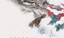 古诗词中的句子