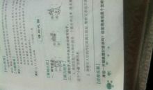 是…也是造句大全