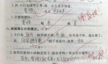 是什么也是什么造句