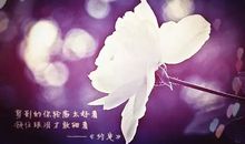 早安唯美句子大全