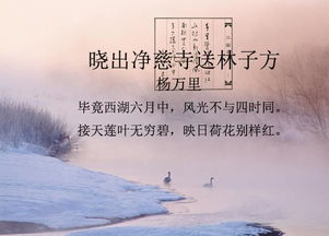 完整的描写水的古诗集