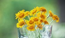 早上心情好充满阳光的句子