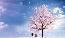 一句触动心灵的句子