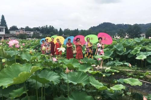 关于形容夏雨的句子