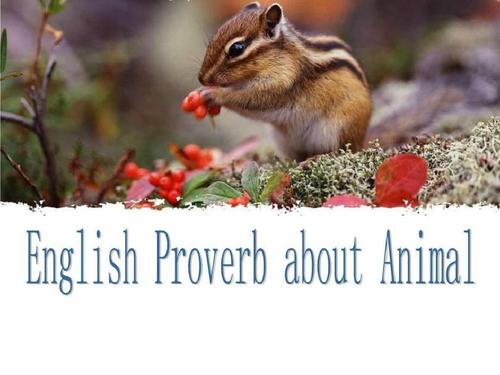 英语谚语很有趣