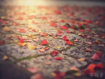 一个非常有哲理的句子，无论您多么痛苦，太阳仍然升起1