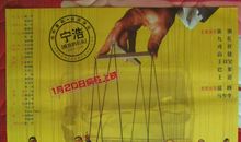 疯狂的赛车经典句子