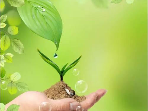 温暖健康的祝福