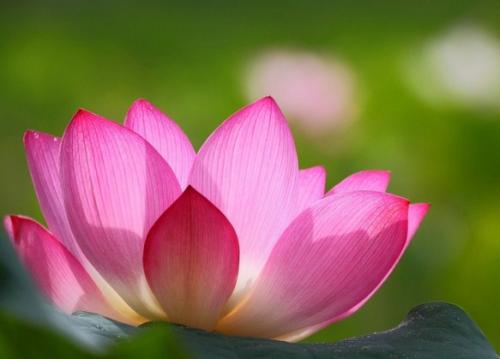 短句说在感冒十个字之内