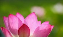 短句说说高冷10字以内