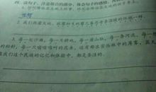 把字造句子大全