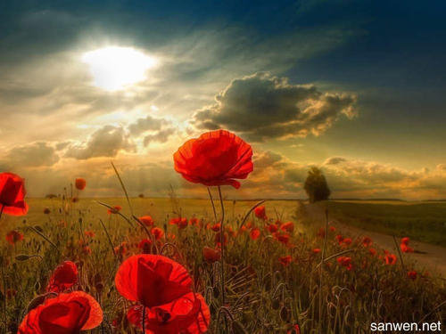 美丽的句子描述风景