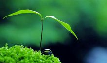 人生感悟哲理的句子经典