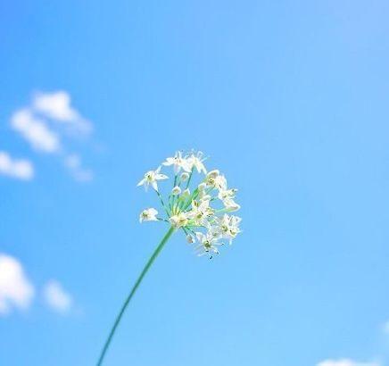 关于独特的句子