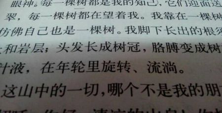 很漂亮的平行句子