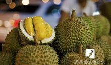 有关榴莲的比喻句