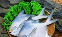 关于鱼的民间谚语