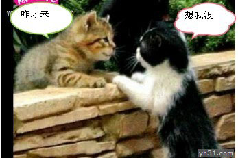 表达爱情的英语谚语