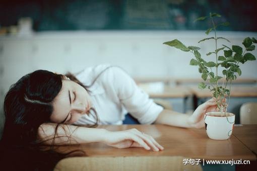 美丽而悲伤的句子和图片