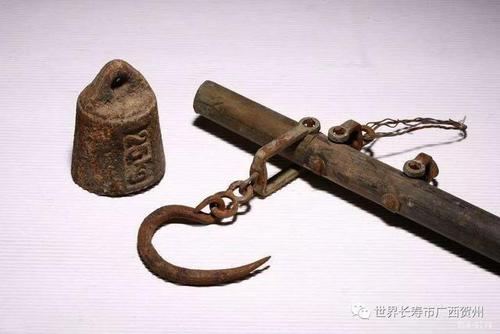 带领羊进入照相馆