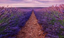 形容风景美的诗句