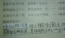 寓意积极向上的诗句