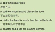 爱情英语谚语大全