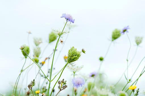 审美感伤小清新句子和图片,谈谈美女感伤的句子1