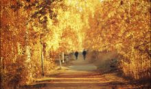 关于憧憬的句子