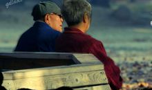 老年人晚年幸福的句子