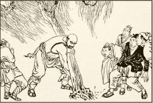 陆志深拔出杨柳的寓言