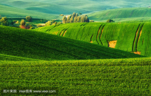 关于农业丰收的谚语