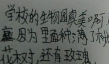 描写老师的好段