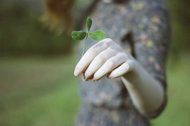 人生感悟的图画和句子7