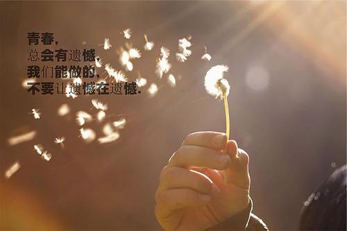 心情谈谈生活夫妻的爱情