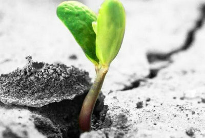 当万事大吉时，你必须大胆，人们在逆境中必须保持冷静