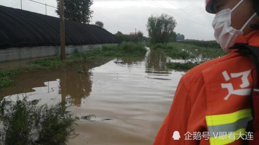 我解开绳索,你寓言地推船