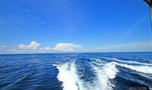 关于大海的好句